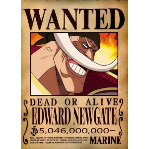 Placa Decorativa Onepiece WANTED Edward NewGate 